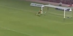 Σκόραρε με κεφαλιά πίσω από το κέντρο! [βίντεο]