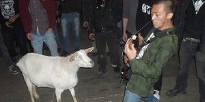 Θρήνος από το χαμό της Biquette της πανκ ροκ κατσίκας -Επαιζε «ξύλο» στην πρώτη