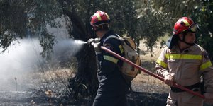 ΦΩΤΟΓΡΑΦΙΑ ΑΡΧΕΙΟΥ: EUROKINISSI /ΣΤΕΛΙΟΣ ΜΙΣΙΝΑΣ