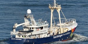 φωτογραφία: twitter Golfo Azzuro