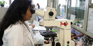 Ένα βήμα πιο κοντά στην προγεννητική θεραπεία ανθρωπίνων ασθενειών/Φωτογραφία: Pixabay