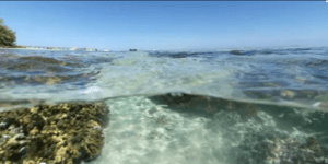 To Google street view βουτάει στα βαθιά - Οι πρώτες υποβρύχιες φωτογραφίες [βίν