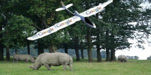 Η Google συμβάλει στην καταπολέμηση της λαθροθηρίας
