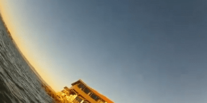 Γλάρος «κλέβει» βιντεοκάμερα και «τραβάει» εν πτήσει το ηλιοβασίλεμα [βίντεο]