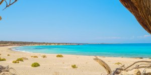 Φωτογραφία: Shutterstock