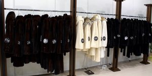 ΦΩΤΟΓΡΑΦΙΑ: EUROKINISSI