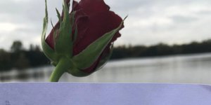 Το συγκινητικό γράμμα μιας λίμνης (Φωτογραφία: Twitter)