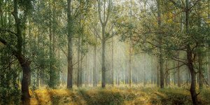 φωτογραφία: pixabay.com