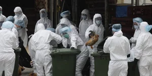Δόλιος εχθρός χαρακτηρίζεται τώρα η θανατηφόρα γρίπη Η7Ν9 που σαρώνει την Κϊνα