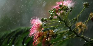 ΦΩΤΟΓΡΑΦΙΑ: EUROKINISSI