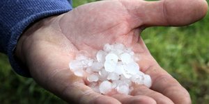 ΦΩΤΟΓΡΑΦΙΑ: EUROKINISSI.ILIALIVE.GR/ΓΙΑΝΝΗΣ ΣΠΥΡΟΥΝΗΣ