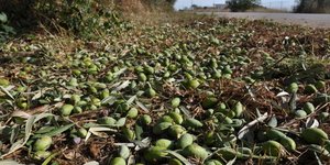 Εικόνα αρχείου από «ραβδισμένους»