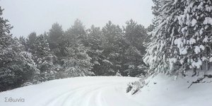 ΦΩΤΟΓΡΑΦΙΑ: halkidikinews.gr