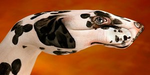 Body Painting: Όταν το καμουφλαζ γίνεται τέχνη