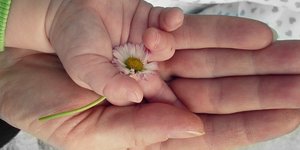 φωτογραφία: pixabay.com
