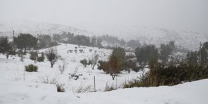 Φωτογραφία: Eurokinissi
