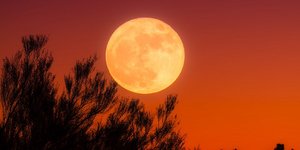 Harvest Moon (Φωτογραφία: Pixabay)