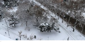 Φωτογραφία Αρχείου