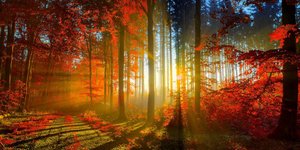 Περαιτέρω βελτίωση του καιρού την Τετάρτη -Σε μικρή άνοδο η θερμοκρασία