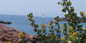 Καλοκαίρι από αρχές Μαΐου -Στους 27 σήμερα ο υδράργυρος