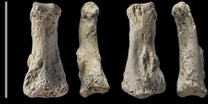 Φωτογραφία: ΑΠΕ-ΜΠΕ