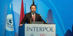 Ο επικεφαλής της Ιντερπόλ