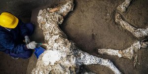 Το άλογο βρέθηκε ατόφιο με τη σέλα και τα χαλινάρια του (Φωτογραφία: ΑΡ/ΑΝSA/C.Abbata)