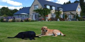 Ηouse-sitting για διακοπές χωρίς έξοδα 