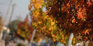 ΦΩΤΟΓΡΑΦΙΑ: EUROKINISSI /ΘΑΝΑΣΗΣ ΚΑΛΛΙΑΡΑΣ