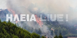 Φωτογραφία: ilialive.gr