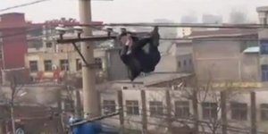 Το βίντεο που κόβει την ανάσα - Μεθυσμένος κρέμεται από καλώδια ηλεκτρικού ρεύμα