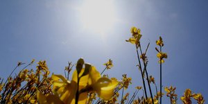 EUROKINISSI-ΠΑΠΑΔΟΠΟΥΛΟΣ ΒΑΣΙΛΗΣ