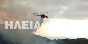Φωτιά στο Λεπρέο Ζαχάρως /Φωτογραφία: Ilialive