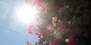 ΦΩΤΟΓΡΑΦΙΑ: EUROKINISSI