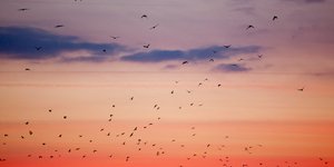 Φωτογραφία: Sooc