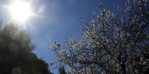 Φωτογραφία: Εurokinissi 