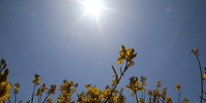 Φωτογραφία: Eurokinissi