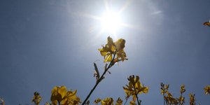 Φωτογραφία: EUROKINISSI-ΠΑΠΑΔΟΠΟΥΛΟΣ ΒΑΣΙΛΗΣ