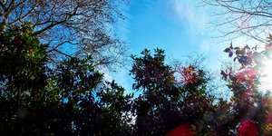 Φωτογραφία Eurokinissi