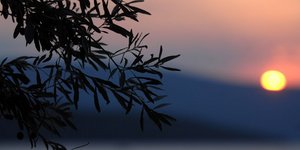 (EUROKINISSI/ ΘΑΝΑΣΗΣ ΚΑΛΛΙΑΡΑΣ)