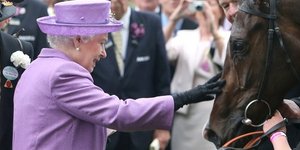 Ντόπινγκ στο παλάτι -Αλογο της βασίλισσας Ελισάβετ βρέθηκε θετικό σε μορφίνη