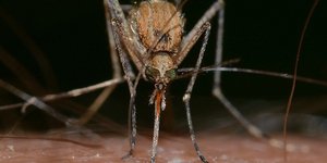 Χρησιμοποιούν ιοντίζουσα ακτινοβολία