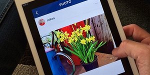 ΦΩΤΟΓΡΑΦΙΑ: Pixabay