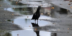 Φωτογραφία: EUROKINISSI