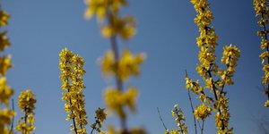 Φωτογραφία: SOOC