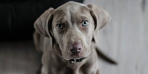 Φωτογραφία αρχείου: Pixabay