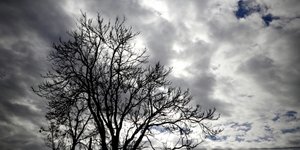 ΦΩΤΟΓΡΑΦΙΑ: EUROKINISSI