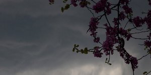 ΦΩΤΟΓΡΑΦΙΑ: EUROKINISSI