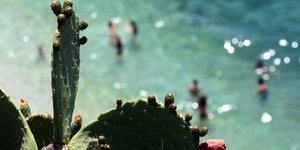 EUROKINISSI-ΠΑΠΑΔΟΠΟΥΛΟΣ ΒΑΣΙΛΗΣ