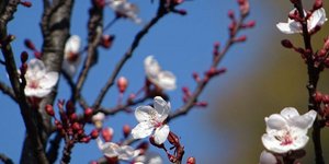 ΦΩΤΟΓΡΑΦΙΑ: EUROKINISSI